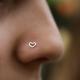 Piercing la nas - cum să alegi un cercel sau un inel, cum și unde să străpungi o aripă sau un sept Piercing la nas acasă